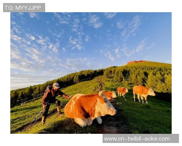 没胆子的不要来！草原开打极限规矩！赢了还能牵走一头牛